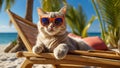 Cute cartoon funny poster cat holiday hawaii , beach, sunset tropic comic summertime