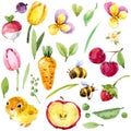 Cute cartoon garden flowers, food, chicken watercolor illustration set