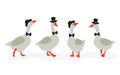 Cute cartoon geese gentlemen set. Vector illustration of funny goose