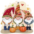 Cute Cartoon Gnomes with two pumpkins