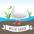 Cute cartoon goose vector