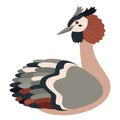 Cute, cartoon grebe bird. Flat vector illustration