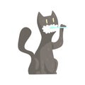 Cute cartoon grey cat brushing teeth with tooth brush and paste colorful character, animal grooming vector Illustration Royalty Free Stock Photo