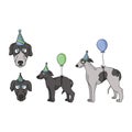 Cute cartoon greyhound dog party set vector clipart. Pedigree kennel racing hound for dog lovers. Purebred domestic