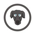 Cute cartoon Greyhound face in circle puppy vector clipart. Pedigree kennel doggie breed for kennel club. Purebred