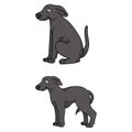 Cute cartoon Greyhound puppy vector clipart. Pedigree kennel doggie for pet parlor mascot. Purebred domestic sighthound