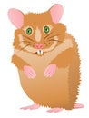 Cute cartoon hamster