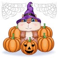 Cute cartoon hamster wearing wizard hat with broom and pumpkins, halloween holiday character