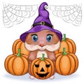 Cute cartoon hamster wearing wizard hat with broom and pumpkins, halloween holiday character