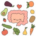 Cute cartoon happy and healthy intestine with fruits and vegetables concept vector illustration