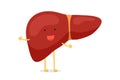 Cute cartoon healthy human liver happy emotion character. Vector funny smiling reversible exocrine gland organ mascot