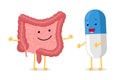 Cute cartoon healthy intestine and smiley medicament pill character. Abdominal cavity digestive and excretion human