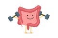 Cute cartoon healthy intestines character with dumbbells. Abdominal cavity digestive and excretion human internal organ