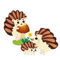 Cute cartoon hedgehog family vector image. Male and female hedgehogs with their young hedgehog. Forest animals for kids. Isolated