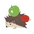 Cute cartoon hedgehog with a green apple and a red leaf on the back Royalty Free Stock Photo