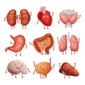 Cute cartoon human organs. Stomach, lungs and kidneys, brain and heart, liver. Funny inner organs vector anatomy Royalty Free Stock Photo