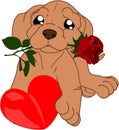 Cute cartoon hungarian pointer with heart and rose