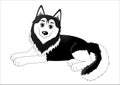 Cute cartoon husky