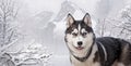 cute cartoon husky standing in the snow against the backdrop of a beautiful landscape. Anime style illustration