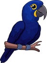 Cute cartoon hyacinth macaw ara parrot sticker