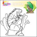 cartoon iguana coloring book