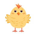 Cute cartoon illustration of a standing little chicken. Flat vector spring easter design. Chicken, bird chick icon Royalty Free Stock Photo