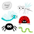 Cute cartoon insect set. Ladybug, dragonfly, mosquito, spider, worm. . Royalty Free Stock Photo