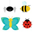 Cute cartoon insect set. Ladybug, spider, butterfly and bee. Isolated Royalty Free Stock Photo