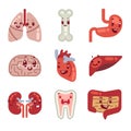 Cute cartoon internal organs vector icons