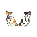 Cute cartoon Japanese Bobtail boy and girl kitten vector clipart. Pedigree kitty breed for cat lovers. Purebred calico