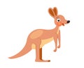 Cute cartoon kangaroo character for children. Flat vector for abc book.