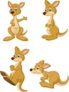 Cute cartoon kangaroo collection set