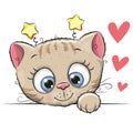 Cute Cartoon Kitten
