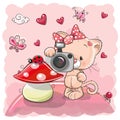 Cute cartoon Kitten with a camera