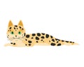 Cute cartoon kittie or cat with colored fur vector illustrations.