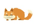 Cute cartoon kittie or cat with colored fur vector illustrations.