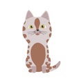 Cute cartoon kittie or cat with colored fur vector illustrations.