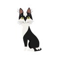 Cute cartoon kittie or cat with colored fur vector illustrations.