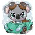 Cartoon Koala boy in glasses goes on a Green car