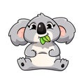 Cute cartoon koala sits and chews eucalyptus leaves.