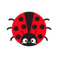 Cute cartoon lady bug round icon. Cute cartoon funny character. Smiling face. White background. Isolated. Baby illustration. Flat Royalty Free Stock Photo