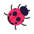 Cute cartoon ladybug beetle flat icon