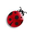 Cute cartoon ladybug. Lucky Symbol. Good luck. Spring, summer, bug, red, object, garden, insect, black, dot. Vector eps 10 illustr