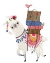 Cute cartoon lama with bird and bags Royalty Free Stock Photo