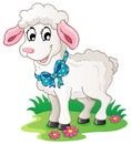 Cute cartoon lamb Royalty Free Stock Photo