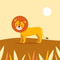 Cute cartoon lion with big fur orange mane and long tail stands on savannah hill. Vector kawaii illustration of african wild cat Royalty Free Stock Photo