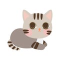 Cute Cartoon Little Baby Cat Icon. Cat sitting on the floor. Cat with gray color.