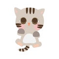 Cute Cartoon Little Baby Cat Icon. Cat sitting on the floor with front position. Cat with gray color.