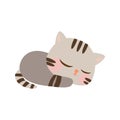 Cute Cartoon Little Baby Cat Icon. Cat sleeping on the floor. Cat with gray color.