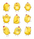 Cute cartoon little chicken. Easter bird symbol